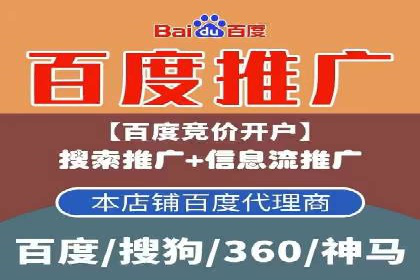 百度竞价公司案例分析：优化策略全解析